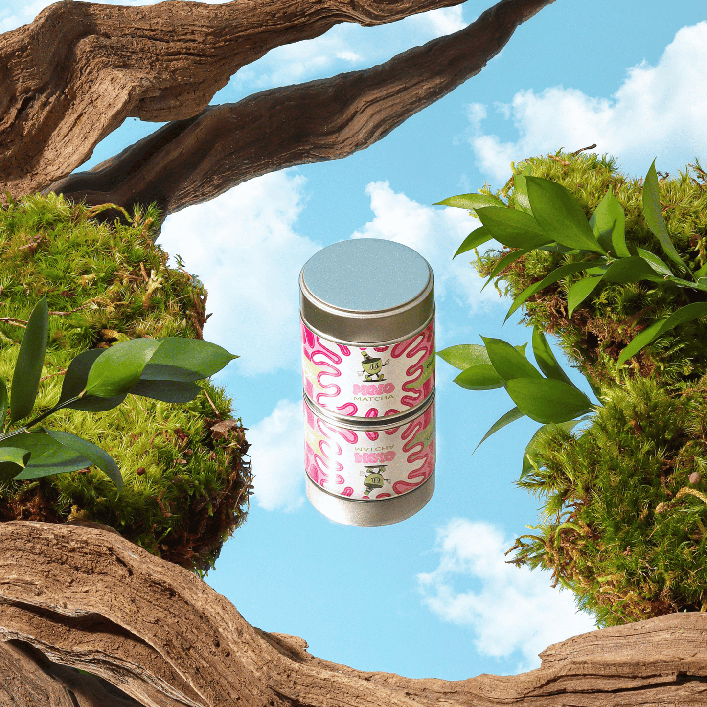 Organic Okumidori Cultivar Ceremonial Grade Matcha