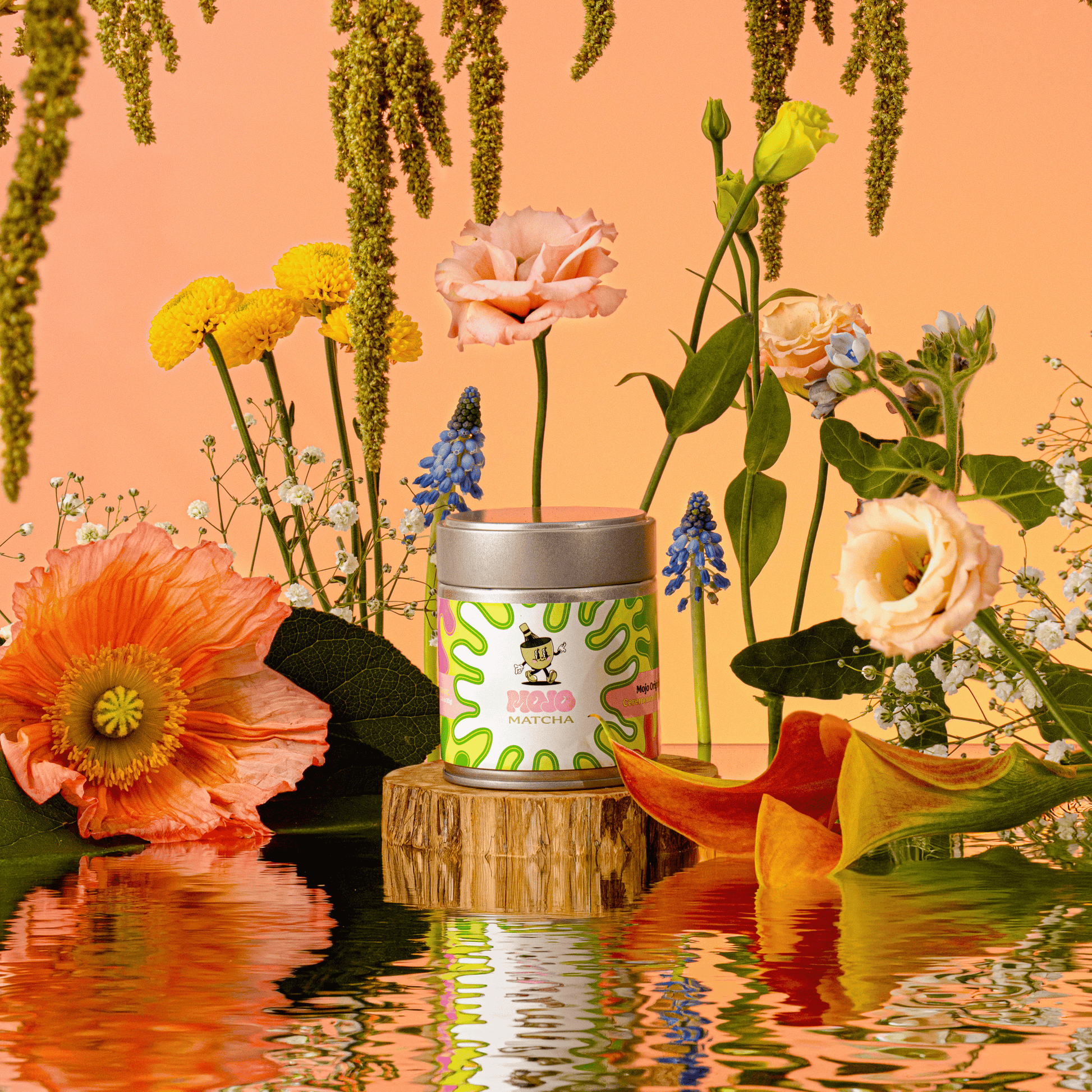 邦楽 MOMOE PREMIUM 30th Anniversary SONY MUSIC HOUSE|山口百恵 デビュー30周年記念 CD-BOX|【ハードオフ
